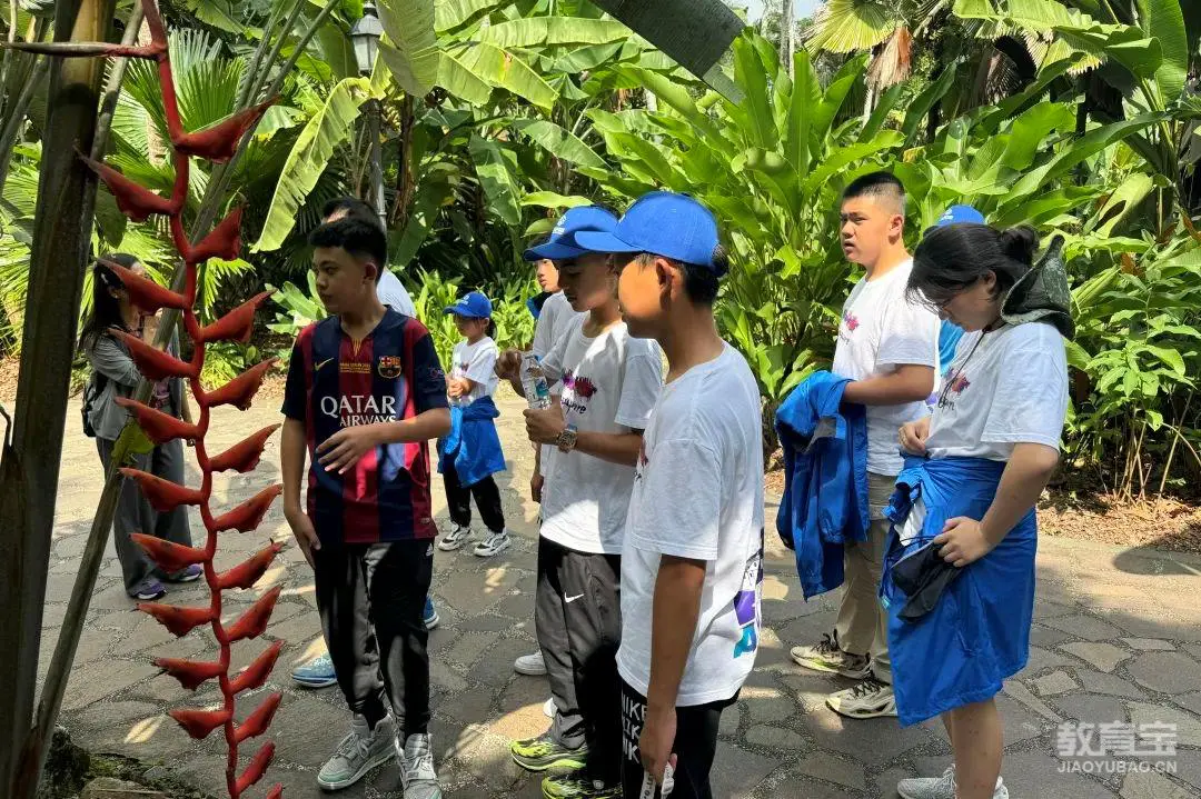 如何在篮球训练中有效应对压力？_2