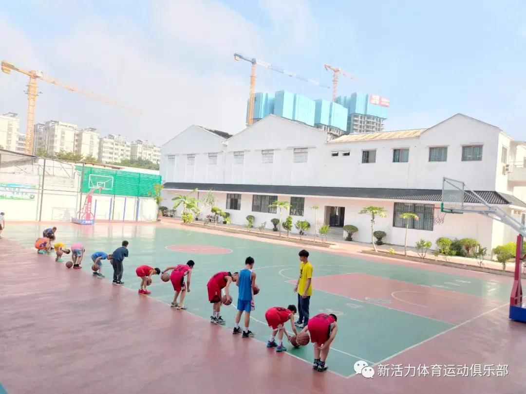 哪里可以学习到高级的篮球战术训练方法？_0