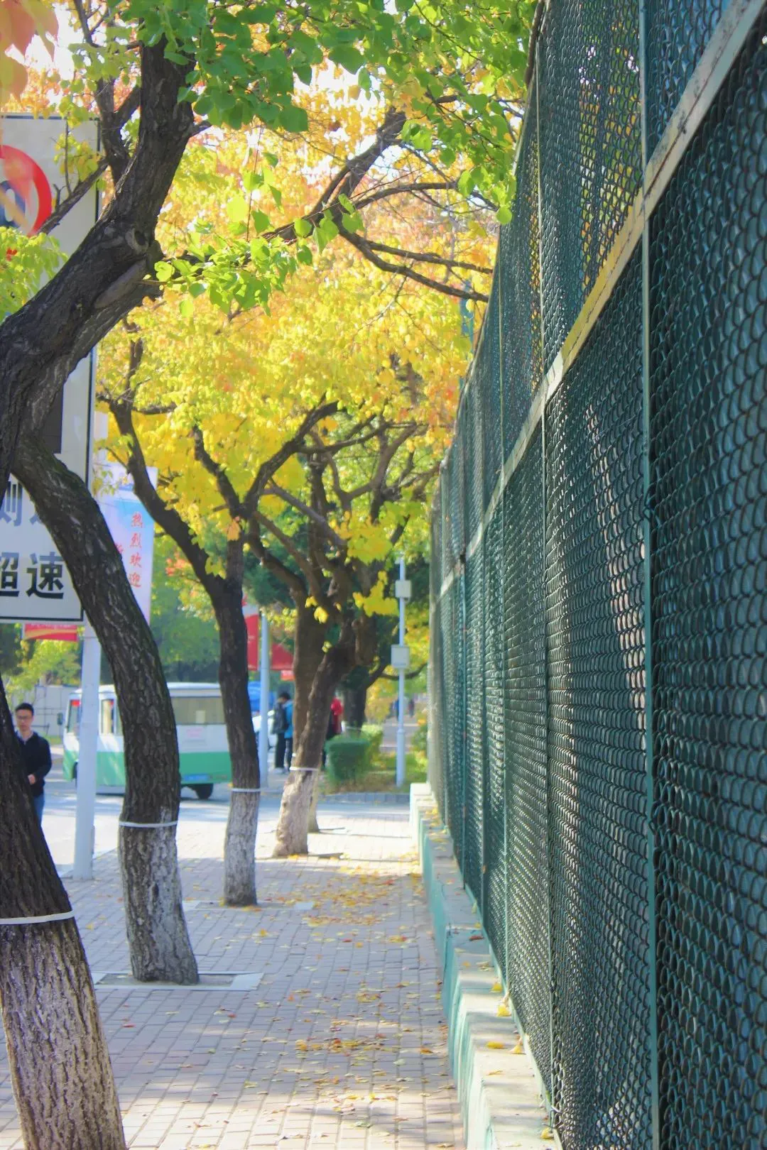 女篮运动员如何强化篮球技能_2