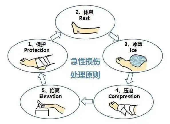 为什么选择特定品牌的篮球训练设备_1